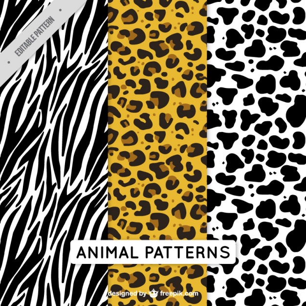 Pack of decorative animal patterns
